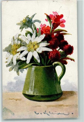 10223155 flower vase alpine - vase,