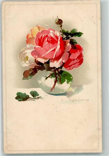 39992063 rose meissner - rose,