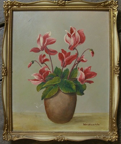 Wondruschka flower still - flower,