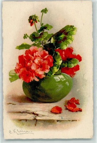 Flower vase with geraniums - flower,