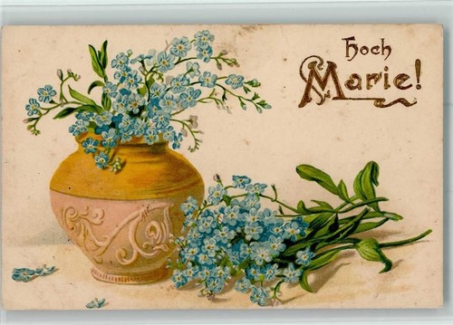 Tall marie forget me - tall, forget-me-not
